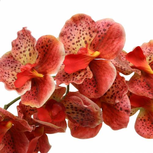 daiktų Dirbtinė orchidėja Phaelaenopsis Raudona, Oranžinė H81cm