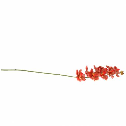 Floristik24 Dirbtinė orchidėja Phaelaenopsis Raudona, Oranžinė H81cm