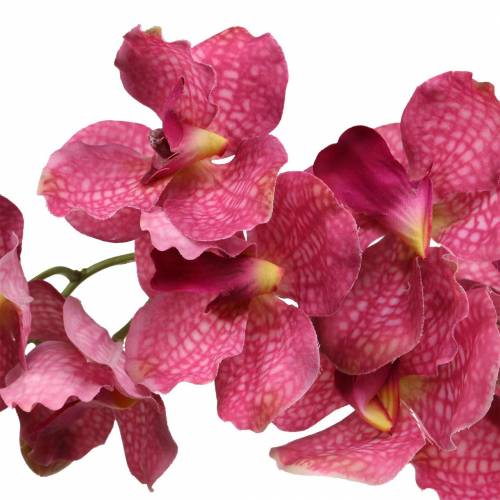 daiktų Dirbtinė orchidėjos šakelė Rožinė H83cm