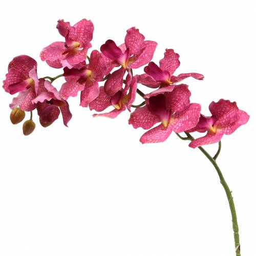 Floristik24 Dirbtinė orchidėjos šakelė Rožinė H83cm
