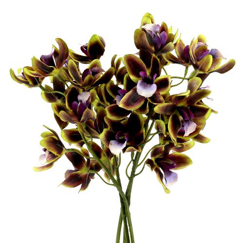 Floristik24 Orchid Cymbidium Green, Purple L38cm 4vnt
