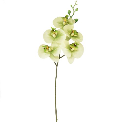 Floristik24 Orchidėja Dirbtinė geltona žalia Phalaenopsis 85cm