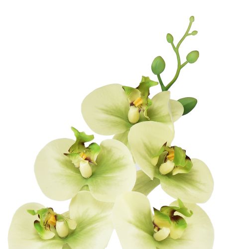 daiktų Orchidėja Dirbtinė geltona žalia Phalaenopsis 85cm