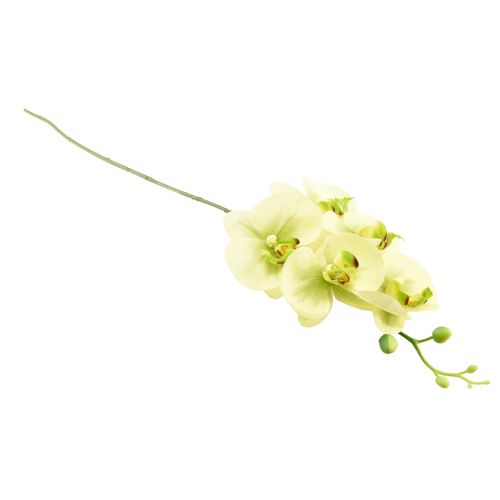 daiktų Orchidėja Dirbtinė geltona žalia Phalaenopsis 85cm