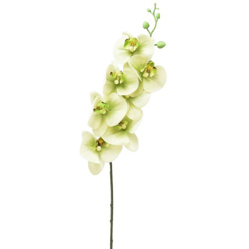 Floristik24 Orchidėja Dirbtinė geltona žalia Phalaenopsis L83cm