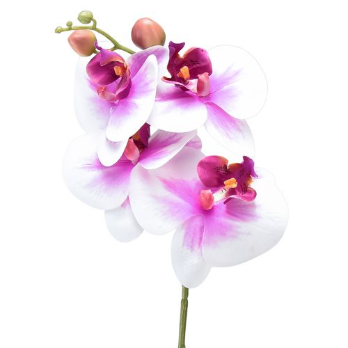 daiktų Orchidėja Dirbtinė Phalaenopsis 4 Gėlės Balta Rožinė 72cm