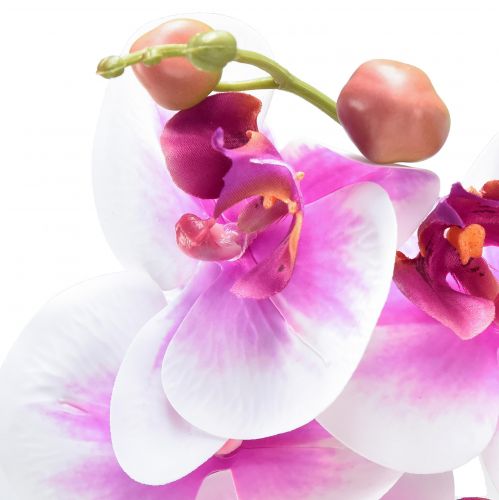 daiktų Orchidėja Dirbtinė Phalaenopsis 4 Gėlės Balta Rožinė 72cm