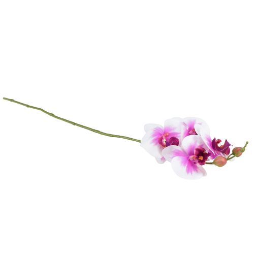 daiktų Orchidėja Dirbtinė Phalaenopsis 4 Gėlės Balta Rožinė 72cm