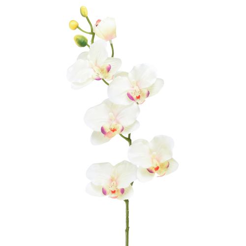 Orchid Phalaenopsis dirbtinės 6 žiedų kreminės rožinės spalvos 70cm