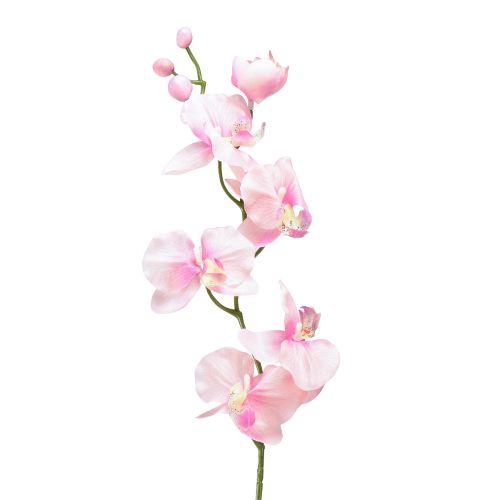 Floristik24 Orchid Phalaenopsis dirbtinės 6 gėlės rožinės spalvos 70cm