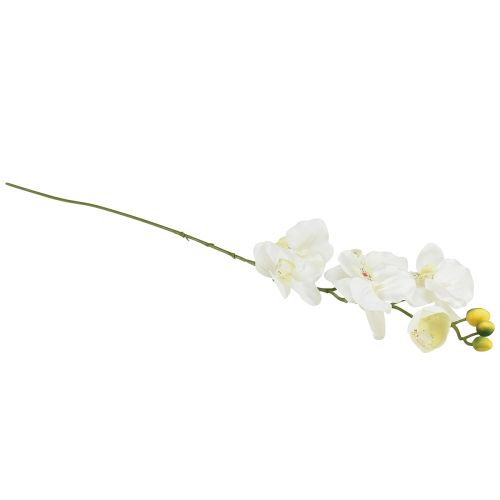 daiktų Orchid Phalaenopsis dirbtinės 6 žiedų baltos kreminės spalvos 70cm