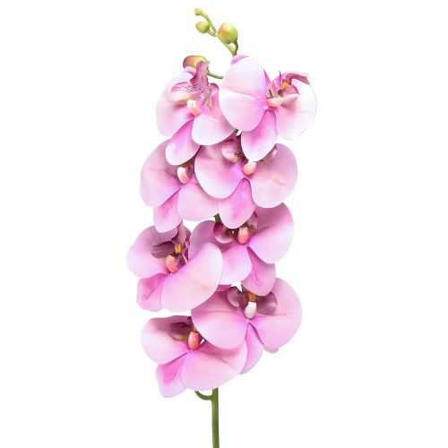 Floristik24 Orchidėja Phalaenopsis dirbtinė 8 žiedai rožiniai 104cm