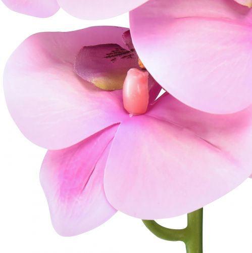 daiktų Orchidėja Phalaenopsis dirbtinė 8 žiedai rožiniai 104cm