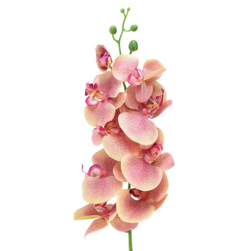 daiktų Orchid Phalaenopsis dirbtiniai 9 žiedai rožinė vanilė 96cm
