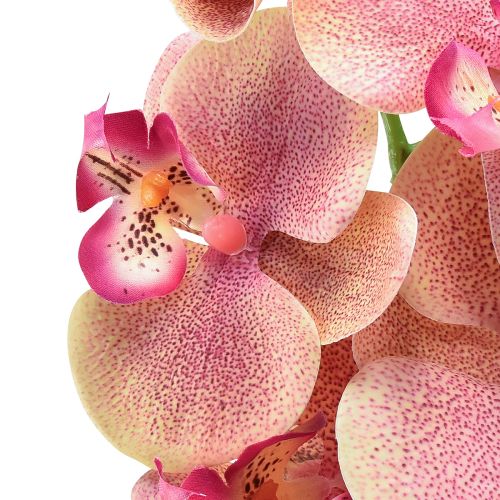 daiktų Orchid Phalaenopsis dirbtiniai 9 žiedai rožinė vanilė 96cm