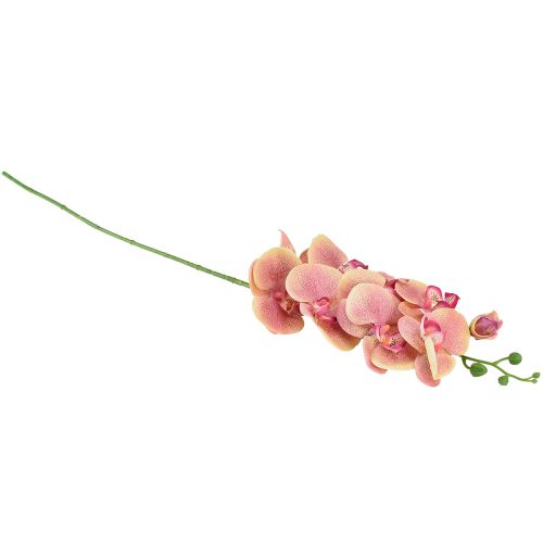 daiktų Orchid Phalaenopsis dirbtiniai 9 žiedai rožinė vanilė 96cm