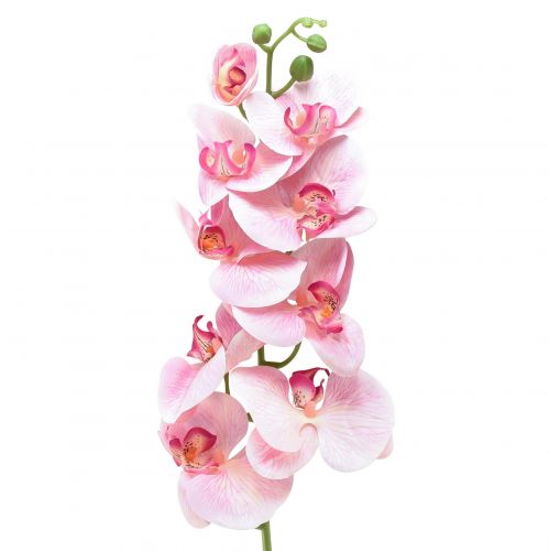 Floristik24 Orchid Phalaenopsis dirbtinės 9 gėlės rožinės baltos 96cm