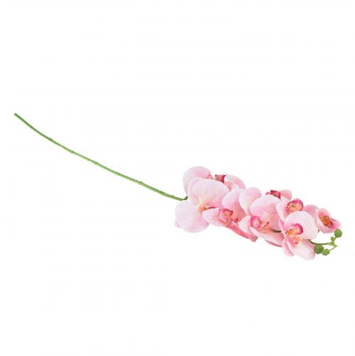 daiktų Orchid Phalaenopsis dirbtinės 9 gėlės rožinės baltos 96cm