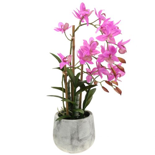 Floristik24 Orchidėja violetiniame vazone H55cm