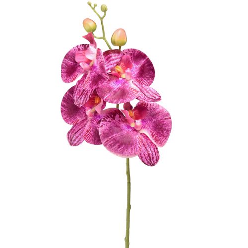Orchidėja liepsna dirbtinė Phalaenopsis violetinė 72cm