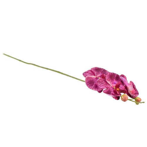 daiktų Orchidėja liepsna dirbtinė Phalaenopsis violetinė 72cm