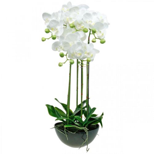 Floristik24 Dirbtinės orchidėjos vazone baltas dirbtinis augalas 63cm