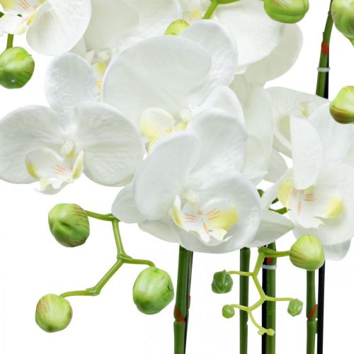 Floristik24 Dirbtinės orchidėjos vazone baltas dirbtinis augalas 63cm