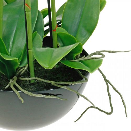 Floristik24 Dirbtinės orchidėjos vazone baltas dirbtinis augalas 63cm