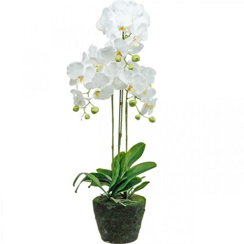 daiktų Dirbtinės orchidėjos vazonui baltos 80cm