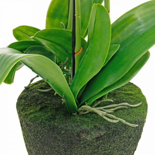 daiktų Dirbtinės orchidėjos vazonui baltos 80cm