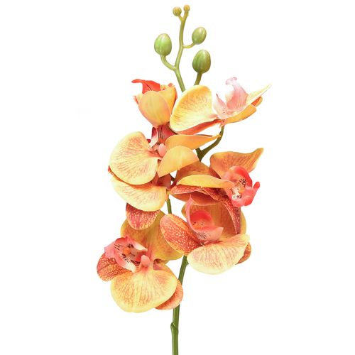 Dirbtinė orchidėja Phalaenopsis liepsnojanti raudonai geltona 78cm