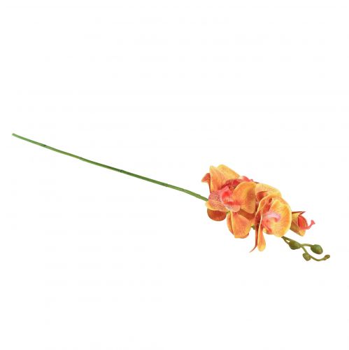 daiktų Dirbtinė orchidėja Phalaenopsis liepsnojanti raudonai geltona 78cm
