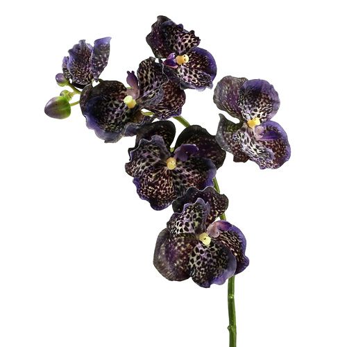Floristik24 Orchid Vanda dirbtinė violetinė L 44cm