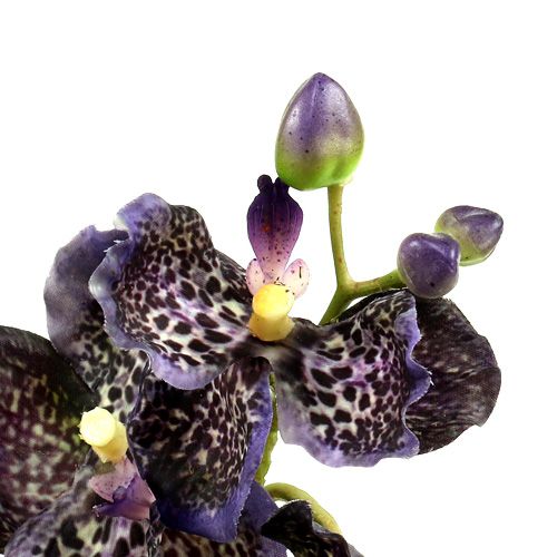 Floristik24 Orchid Vanda dirbtinė violetinė L 44cm