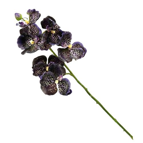 Floristik24 Orchid Vanda dirbtinė violetinė L 44cm