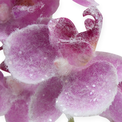 Floristik24 Orchidėja su blizgučiais, rožinė 35cm