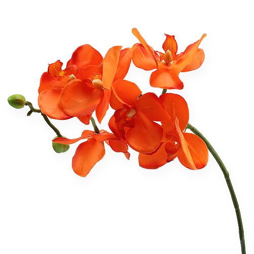 Floristik24 Orchidėjos šakelė oranžinė 61cm