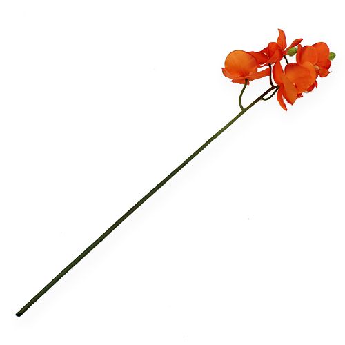 Floristik24 Orchidėjos šakelė oranžinė 61cm