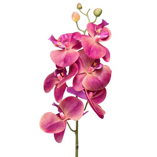 Dirbtinė orchidėja Phalaenopsis Orchid Fuchsia 78cm