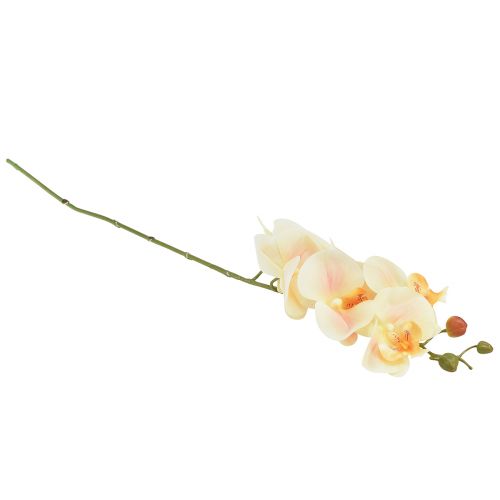 daiktų Dirbtinis Orchid Cream Oranžinis Phalaenopsis 78cm