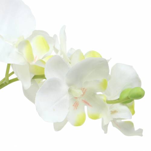 Floristik24 Orchidėjos baltos vazonėlyje dirbtinis augalas H35cm