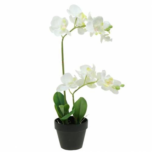 Orchidėjos baltos vazonėlyje dirbtinis augalas H35cm