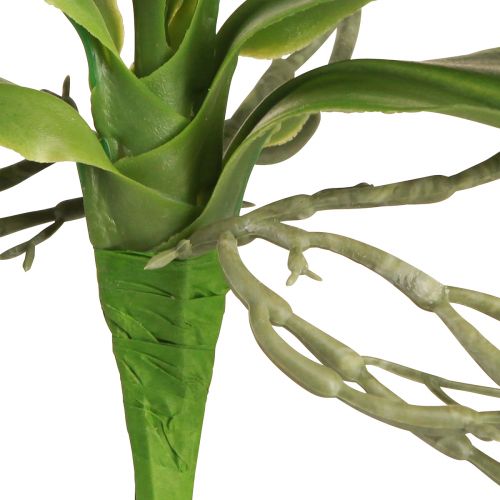 daiktų Orchidėjų lapai su orinėmis šaknimis dirbtiniais 34x8x18cm