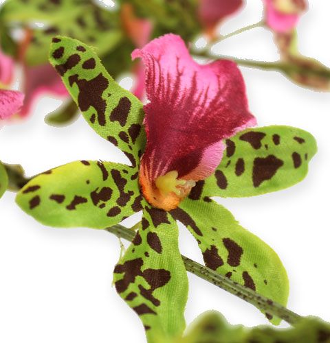 daiktų Orchidėjos šakelė žalia/rožinė 105cm