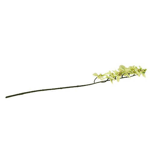 daiktų Orchidėjos šakelė šviesiai žalia L58cm
