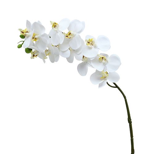 Floristik24 Orchidėjos šakelė balta L58cm