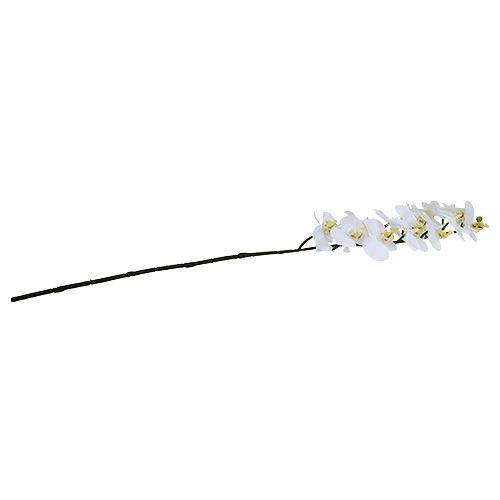 daiktų Orchidėjos šakelė balta L58cm