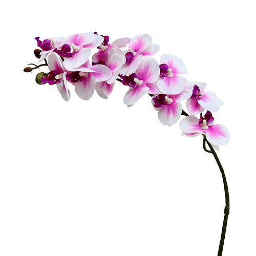 Floristik24 Orchidėjos šakelė baltai rožinė L58cm