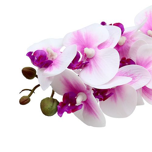 Floristik24 Orchidėjos šakelė baltai rožinė L58cm