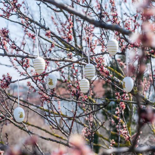 daiktų Velykiniai margučiai pakabinti balti, auksiniai dirbtinai rūšiuoti H6cm 12vnt